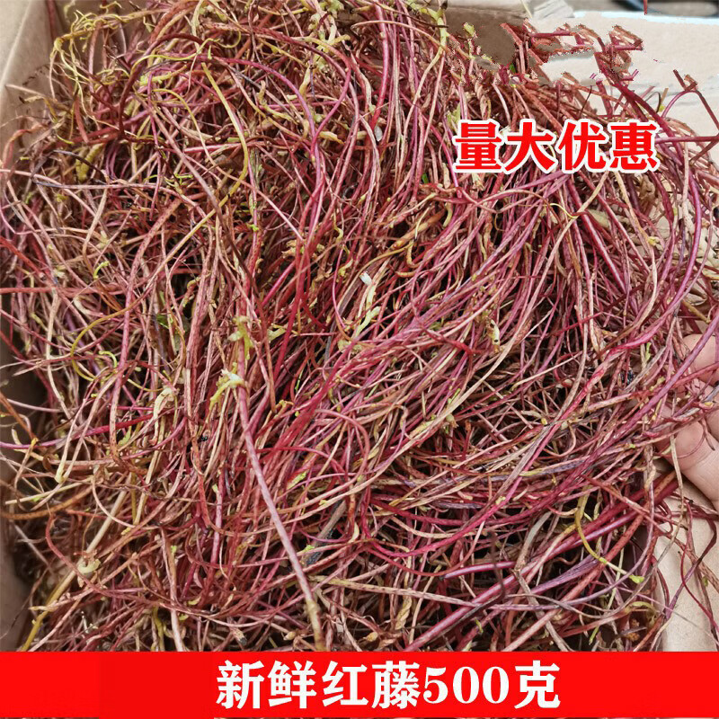 宜安堂广西现采菟丝子藤红藤无根藤无娘藤无根草500克.