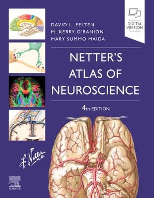 现货 Netter’s Atlas of Neuroscience使用感如何?