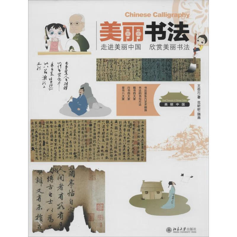 美丽书法 王岳川 书籍