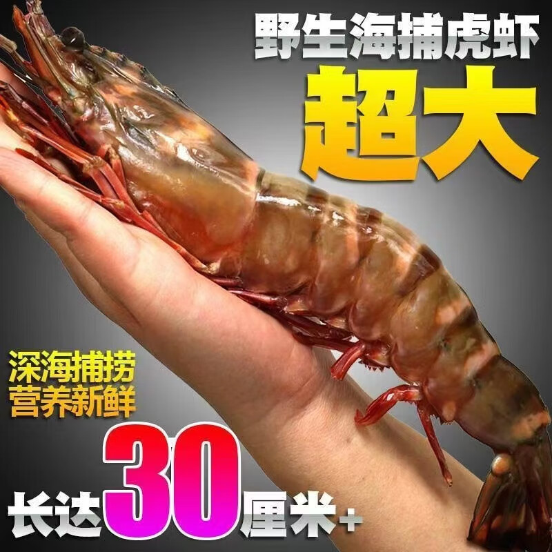 老蟹将 活冻超大黑虎虾老虎虾对虾海虾大虾生鲜虾类 精品装超大18-20只/盒1000g