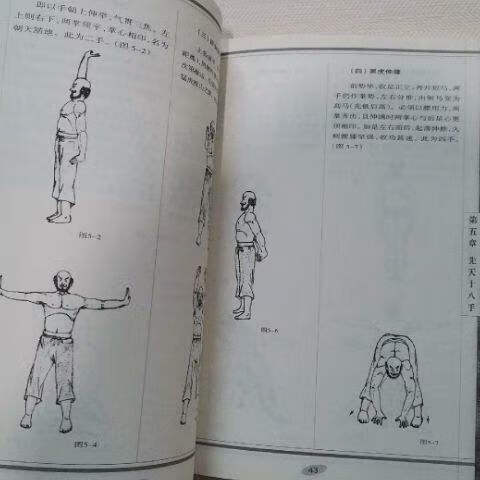 少林内功真经 田建强著 少林心意把 少林寺气功 安徽科学技术出版 如图