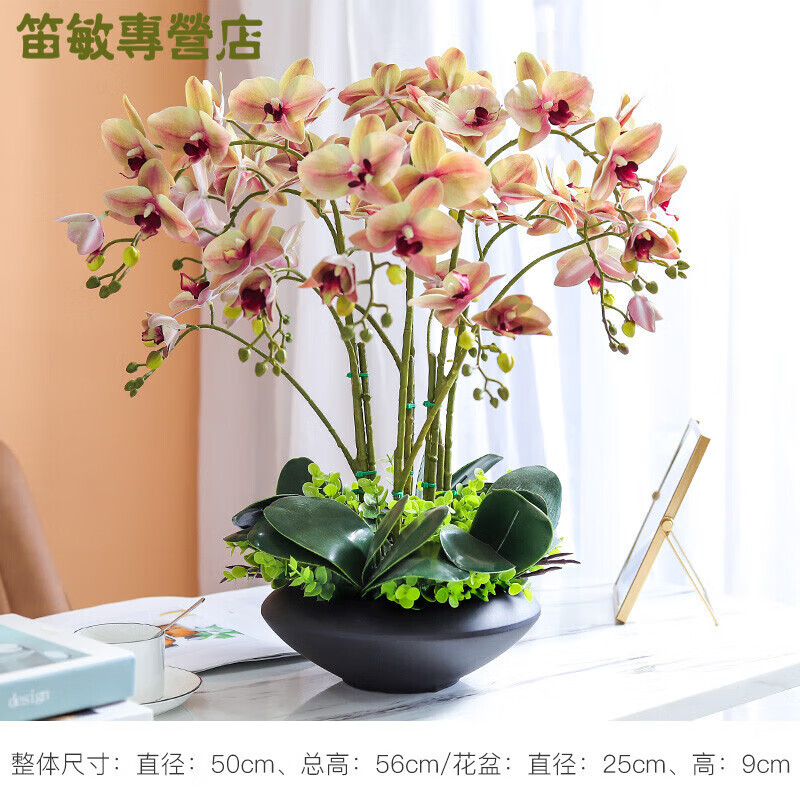 泰錦瑞高檔蝴蝶蘭仿真花套裝客廳茶幾玄關(guān)辦公室前臺假花插花裝飾花盆栽 大號蝴蝶蘭黑盆套裝蜜蠟