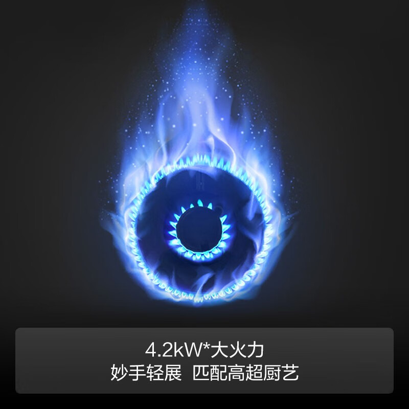 方太燃气灶（天然气）4.2kW*钢化玻璃燃气灶 嵌入式 家用双灶具嵌可用 JZT-TH35B