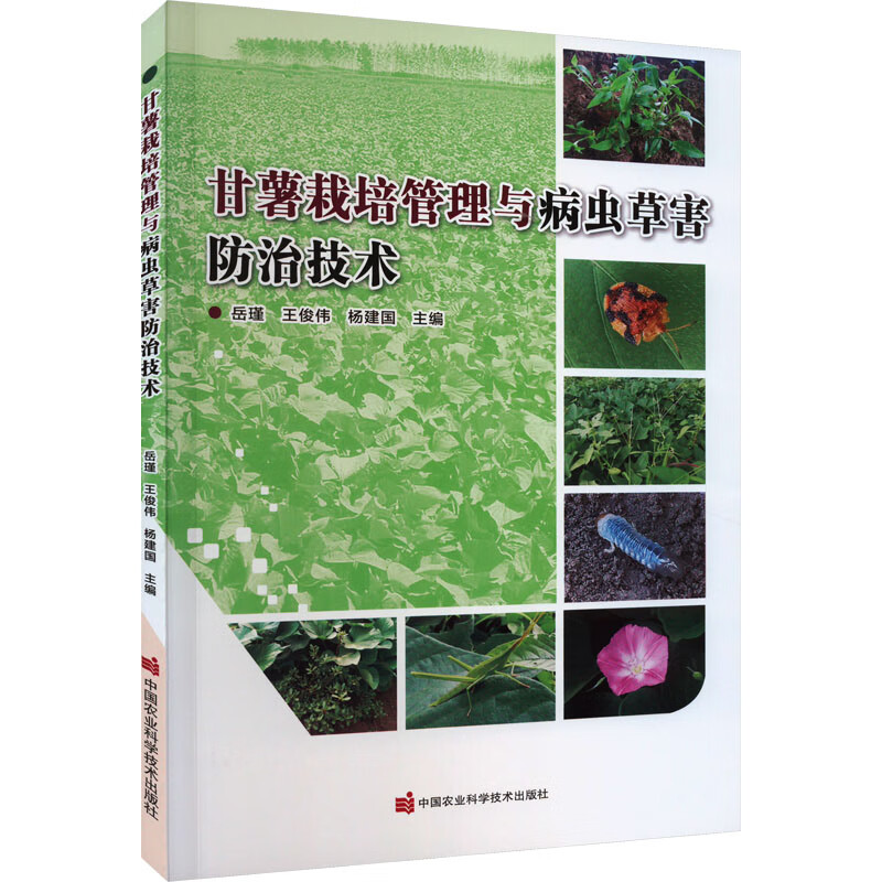 甘薯栽培管理与病虫草害防治技术 图书