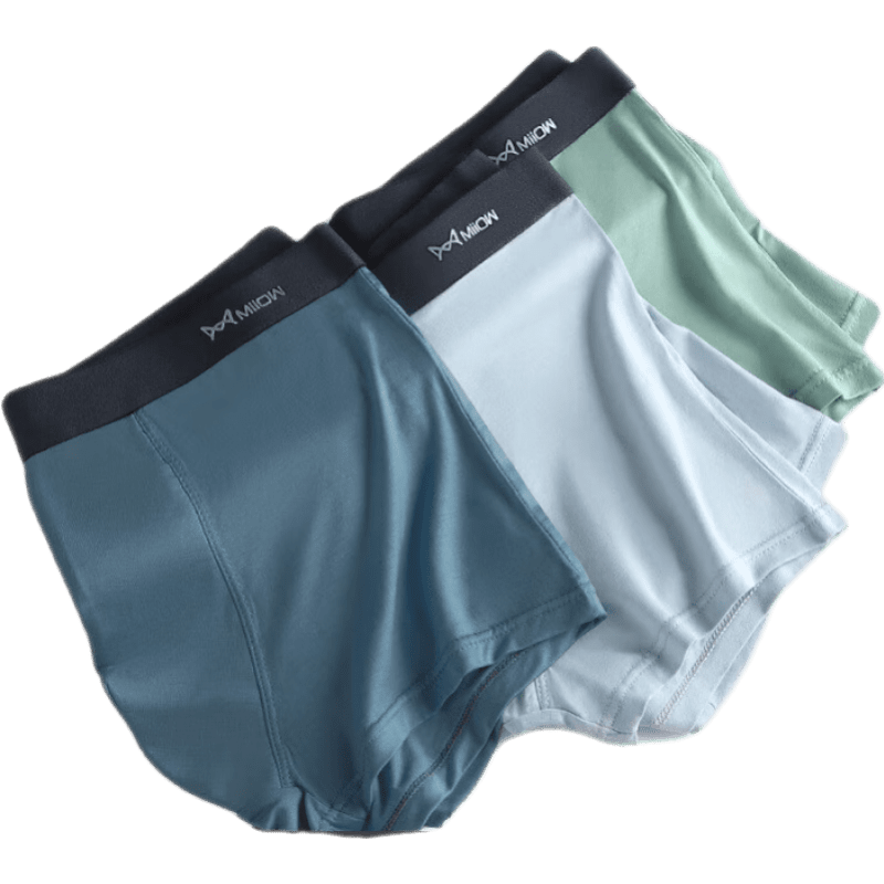 è��Ī����32S��ʿ�ڿ�͸��ƽ�ǿ���3��װ ����+ǳ��+���̡�3��װ�� XL ��100-120��