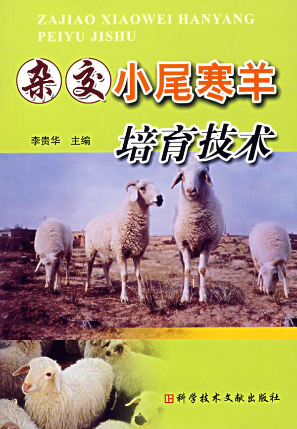 杂交小尾寒羊培育技术 李贵华【放心选购】