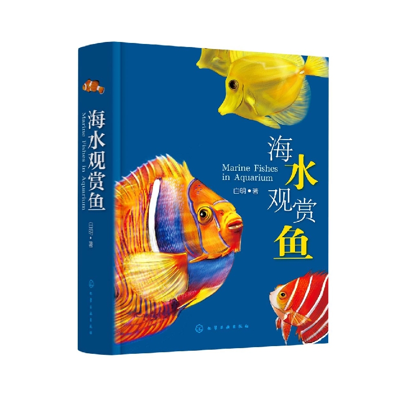 海水观赏鱼