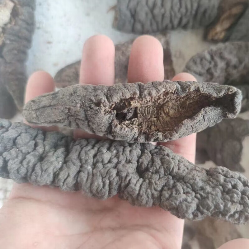 tlxt特极野大乌参深海海茄子参淡干黑乌条乌虫海