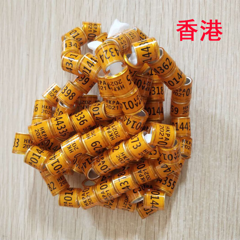 环统一环信鸽足环鸽子用品用具信鸽鸽具鸽子足环 黄色_23年黄香港50个