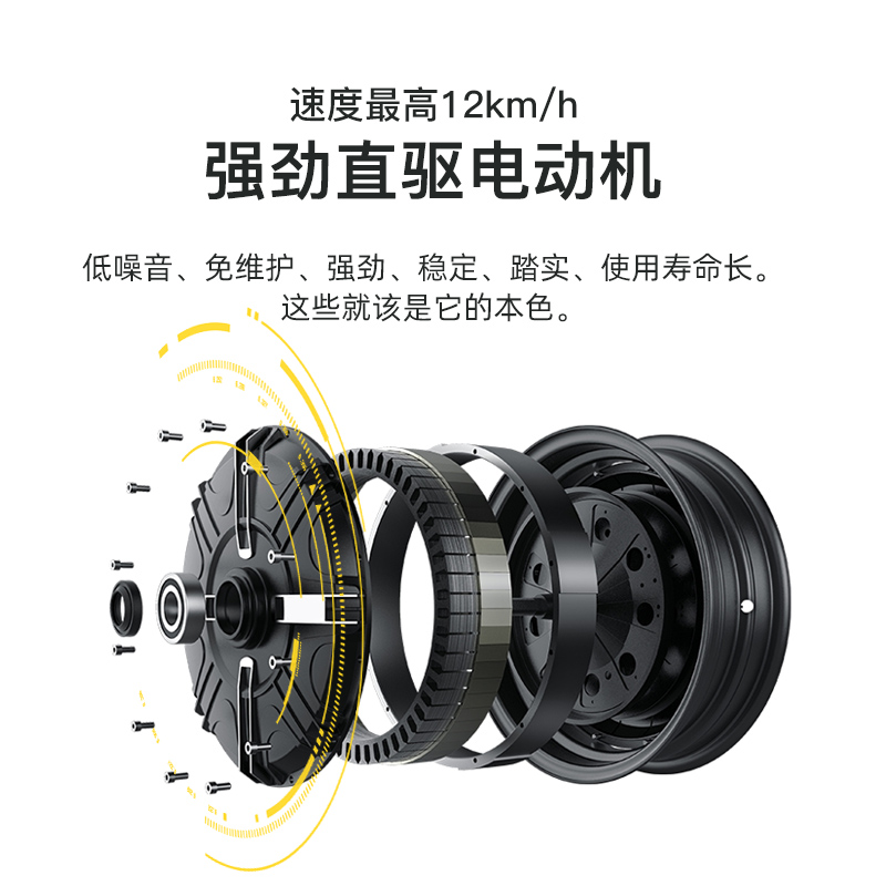 华为儿童平衡车6-14岁六一礼物 帕顿新款儿童智能平衡车双轮电动体感