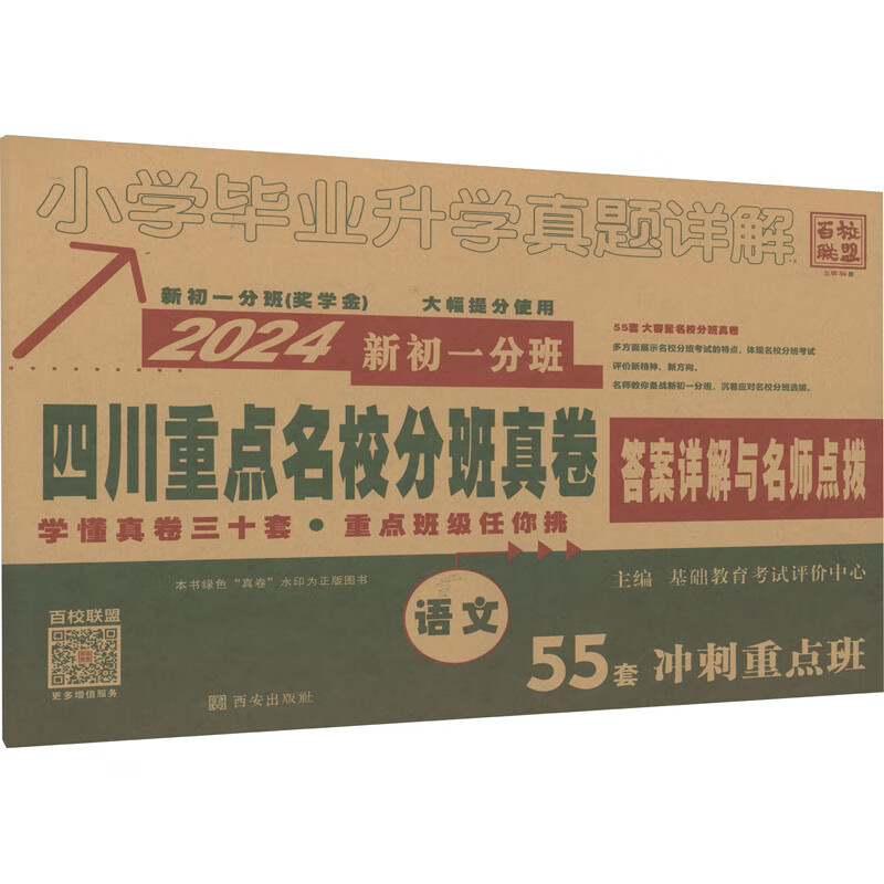 小学毕业升学真题详解 语文 2024 图书