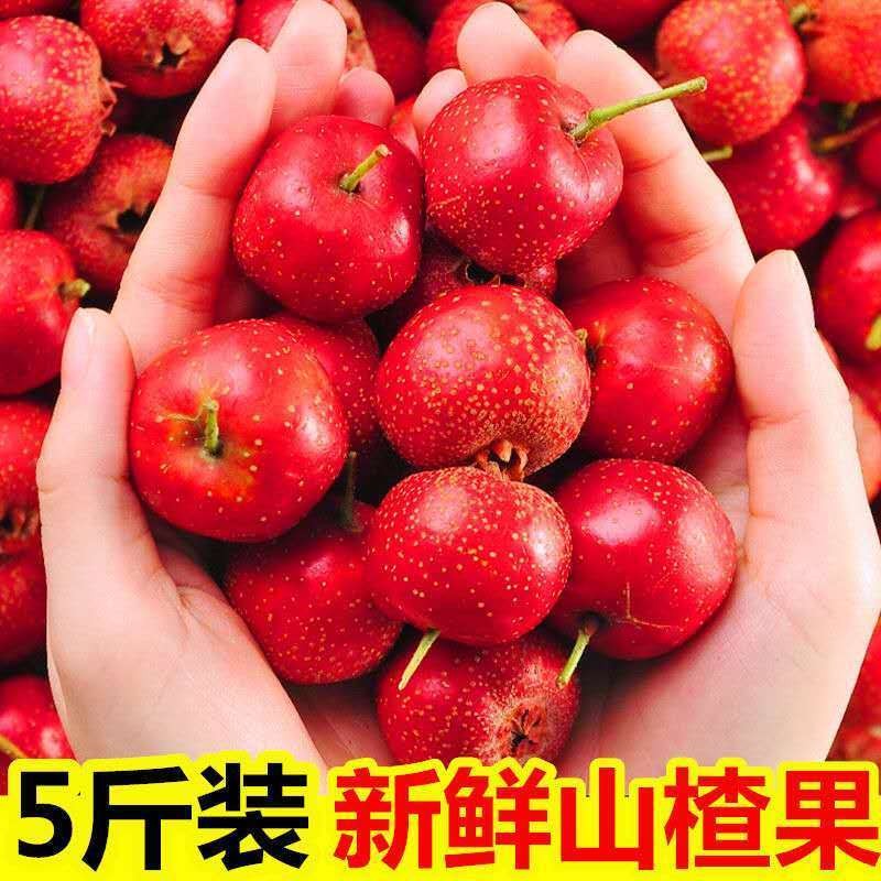 帆儿庄园 新鲜山楂应季时令新鲜水果农家水果山里红生鲜 5斤