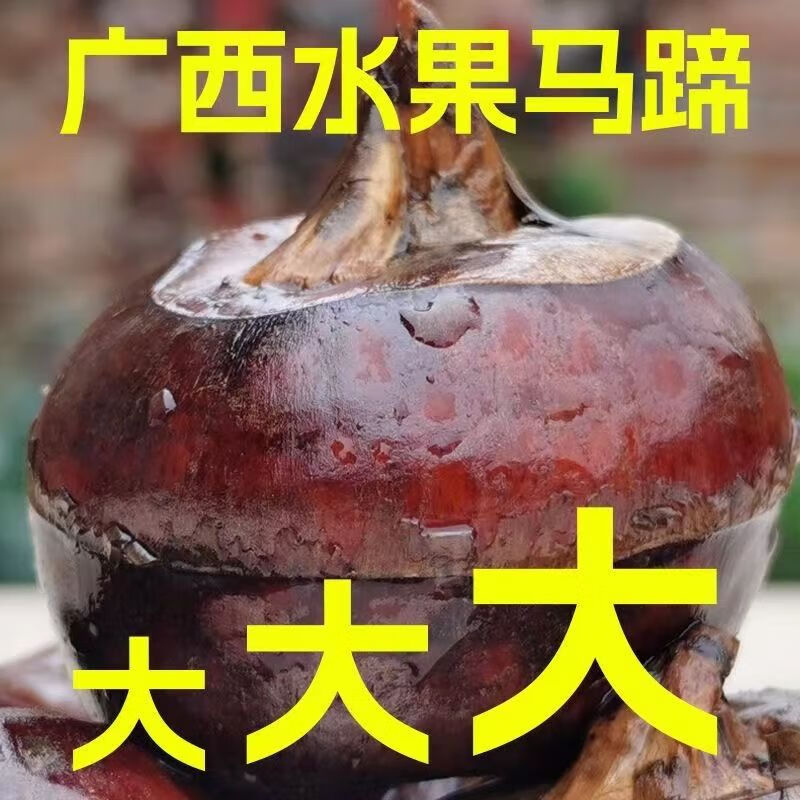 广西荔浦马蹄荸荠马蹄新鲜水果超甜蔬菜鲜甜多汁马蹄农家现挖现发 9斤