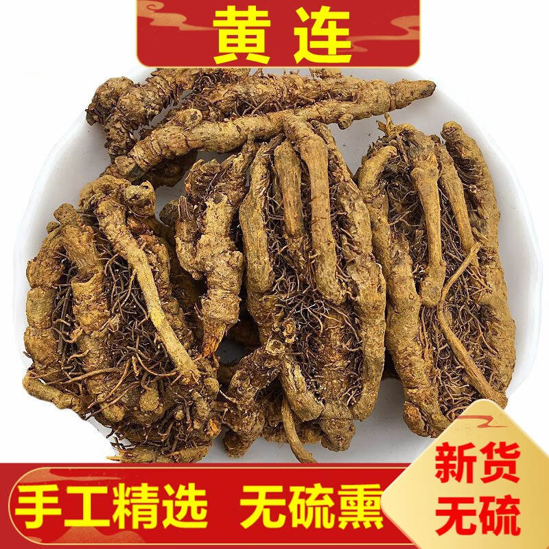 北京同仁堂黄连中药草材王连 支连 川黄连 100克 100g