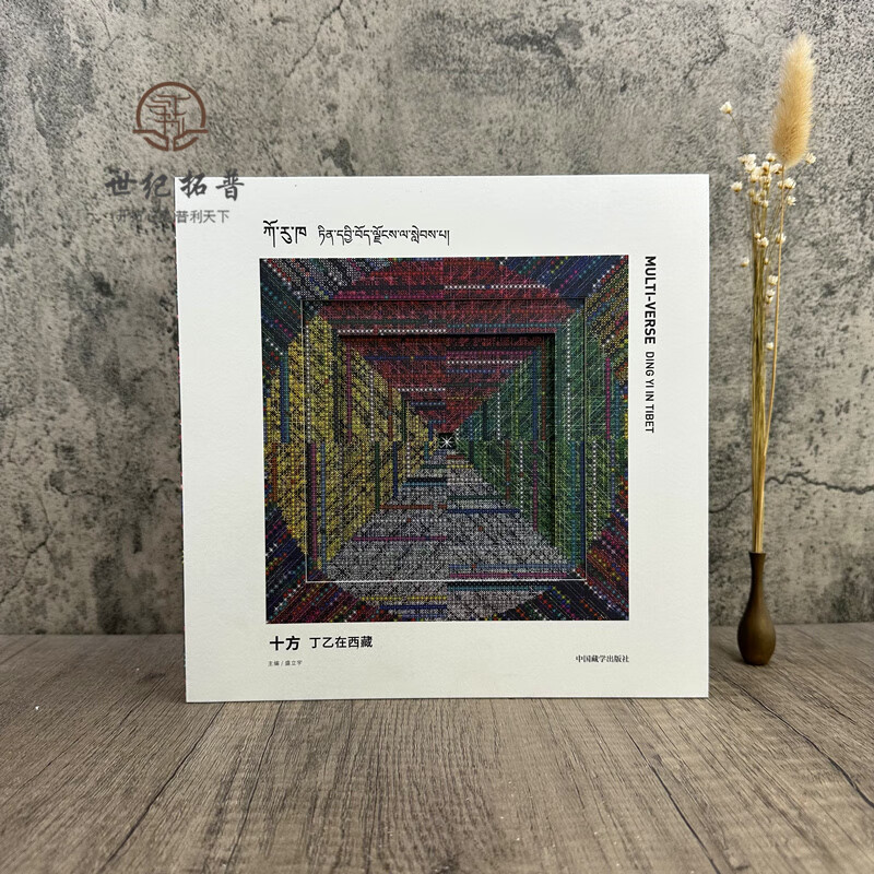 包邮正版 十方 丁乙在西藏 盛立宇 编 绘画(新)艺术 中国藏学出版社