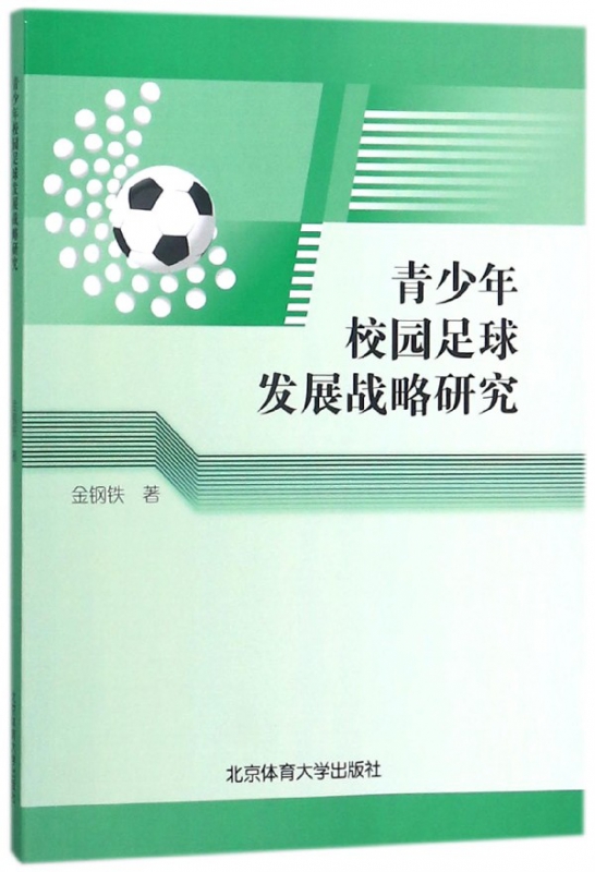青少年校园足球发展战略研究