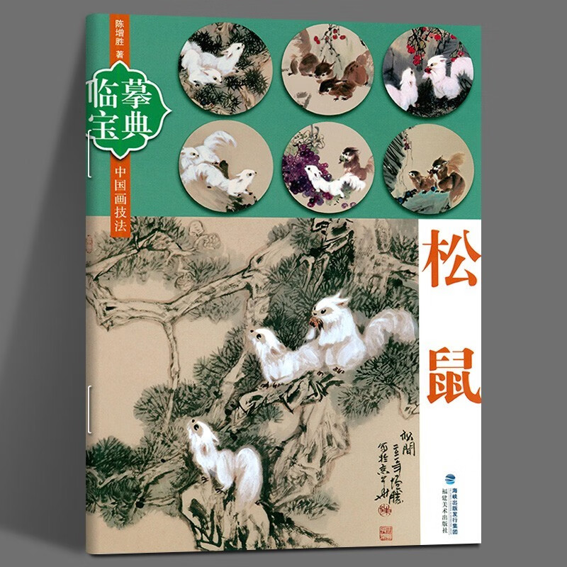 临摹宝典 松鼠 中国画技法工笔画水彩墨册页 松鼠技法画法步骤演示用