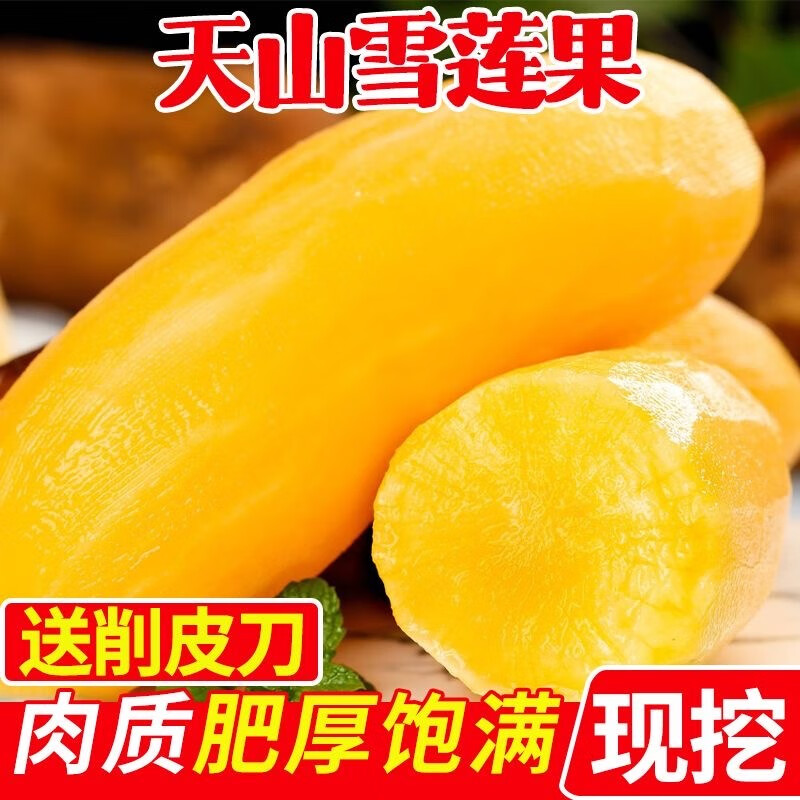 果迎鲜雪莲果 5斤 云南特产天山雪莲果 天山红泥沙雪莲果