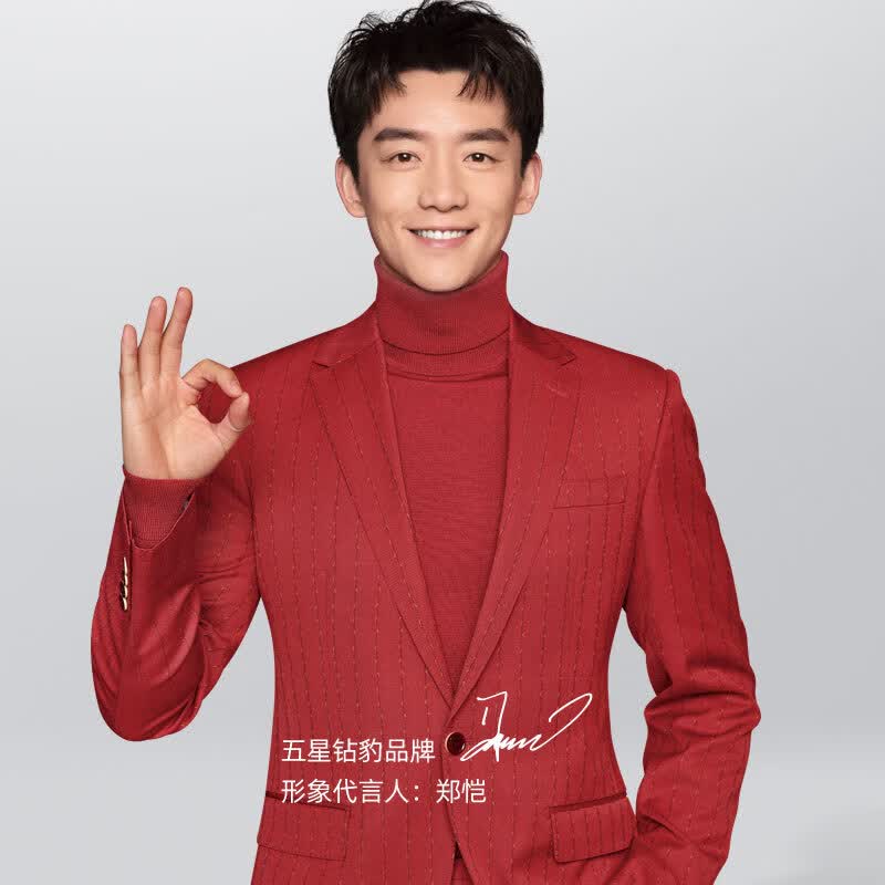 五星钻豹电动车 新国标48v20ah电瓶车两轮电动自行车 a7 金属钛灰