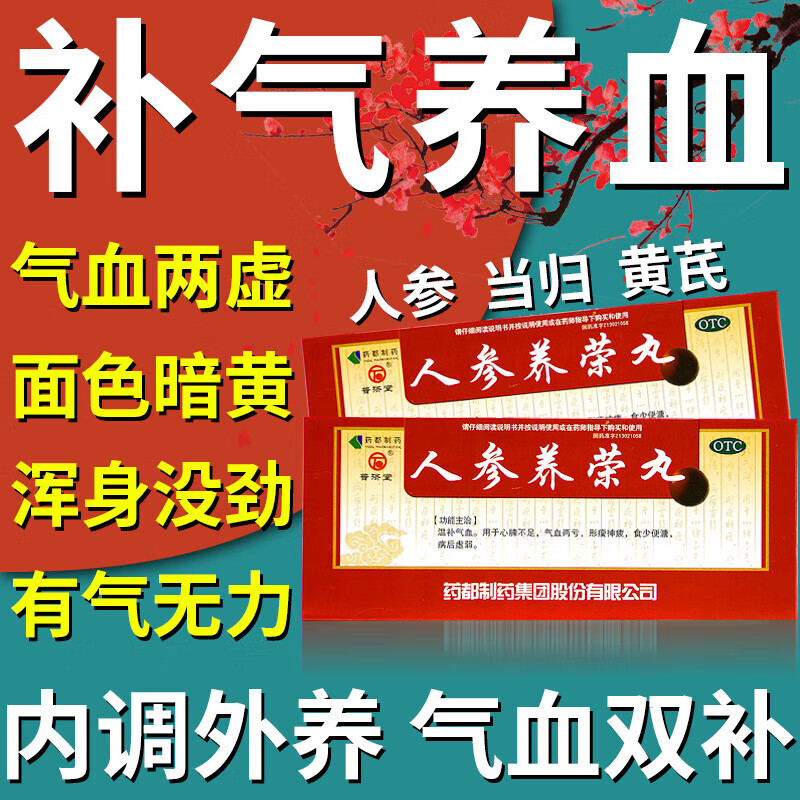 普济堂人参养荣丸10丸浓缩丸大蜜丸补气血女气虚血亏补气养血药气血不