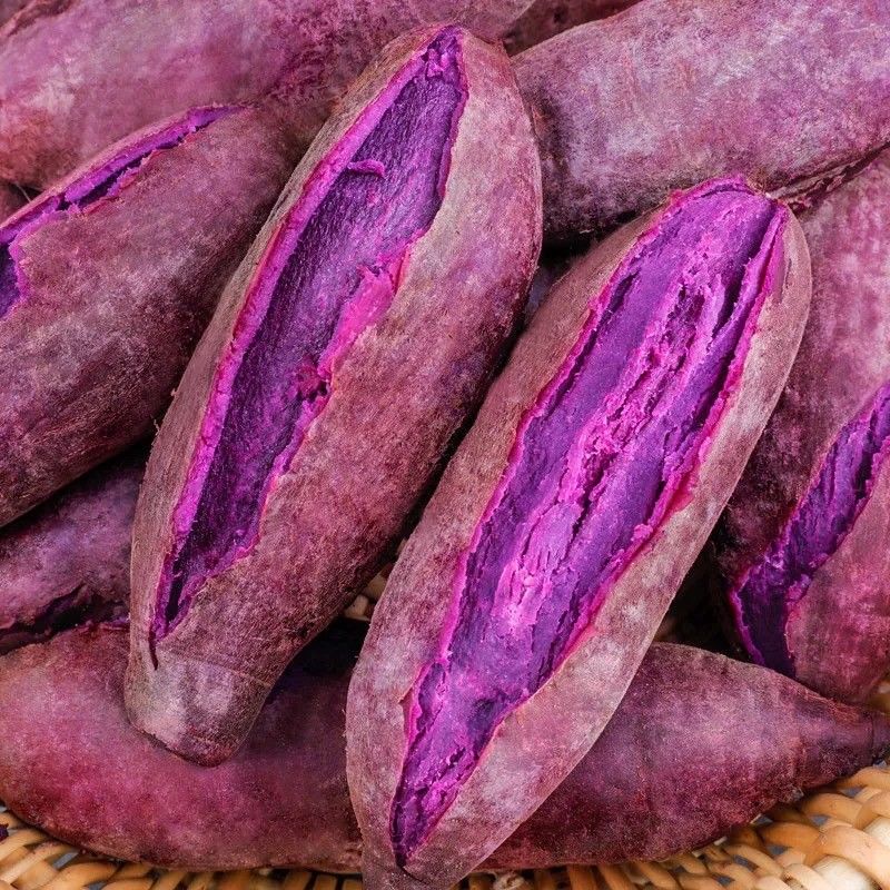 【现摘】沙地紫薯新鲜红薯板栗番薯紫色地瓜批发现挖蜜薯蔬菜 优选中紫薯【净重2斤】