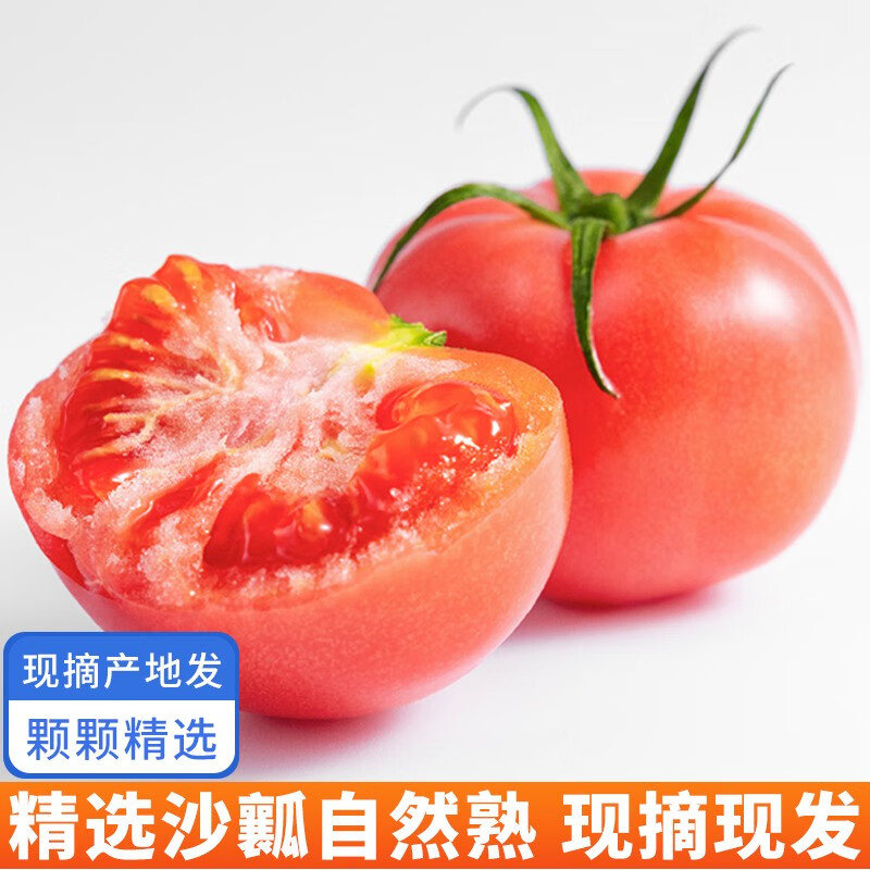 普罗旺斯沙瓤西红柿蔬菜番茄生吃新鲜沙瓤柿子农家自种时令 5斤装【净重4.5-5斤】