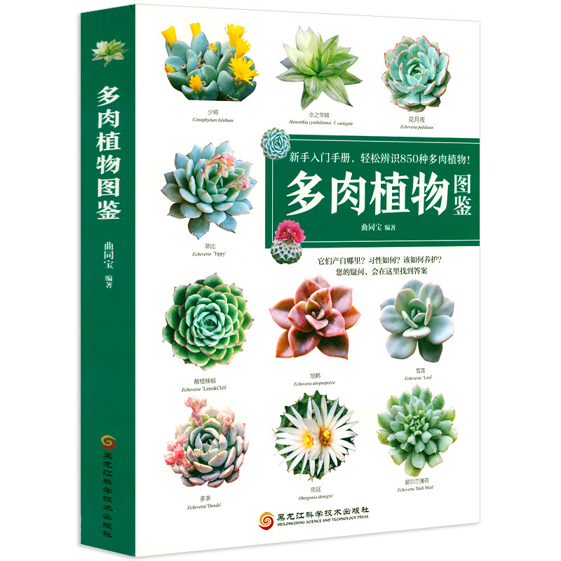 【包邮】多肉植物图鉴：新手入门手册，轻松辨识850种多肉植物！