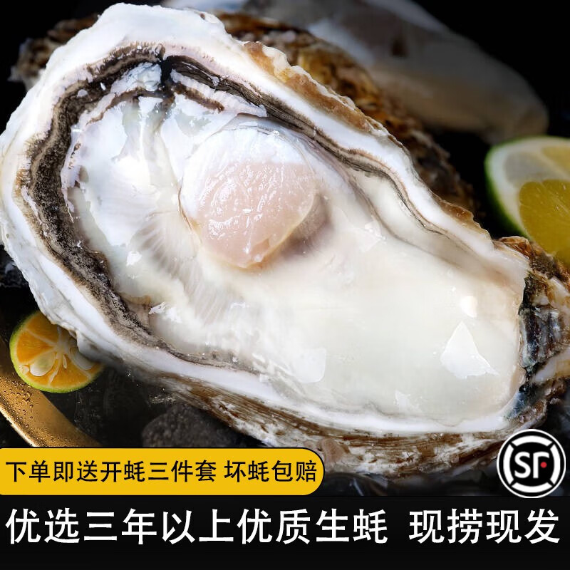 鲁禧 乳山生蚝鲜活6XL特大牡蛎 山东地标产品 新鲜海蛎子 刺身级生蚝 【特大】5XL号净重4.5斤装属于什么档次？
