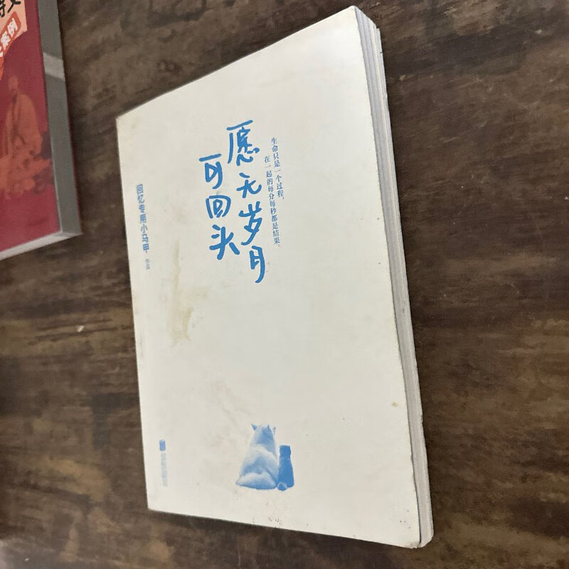【绝版旧书】愿无岁月可回头 /回忆专用小马甲 北京联合出版公司