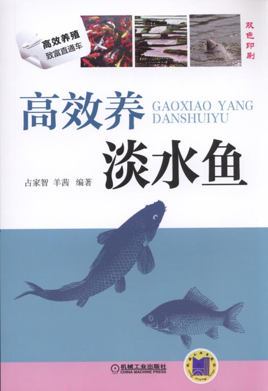 高效养淡水鱼【正版图书】