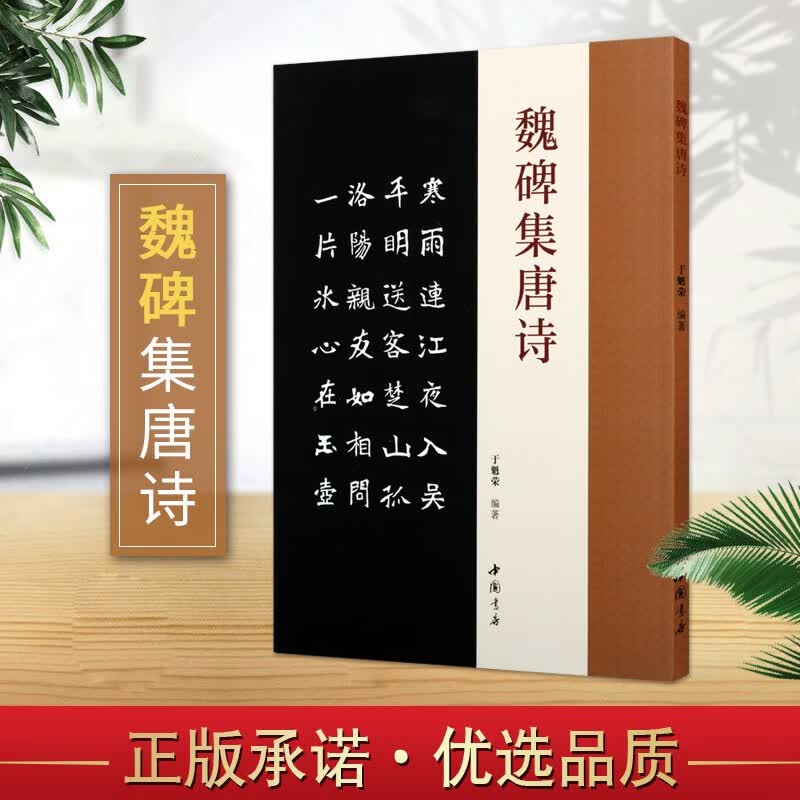 魏碑集唐诗 张猛龙碑书法技法教程 张黑女墓志集字 书法书籍 书法字帖碑帖 毛笔技法入门书籍 中国书店