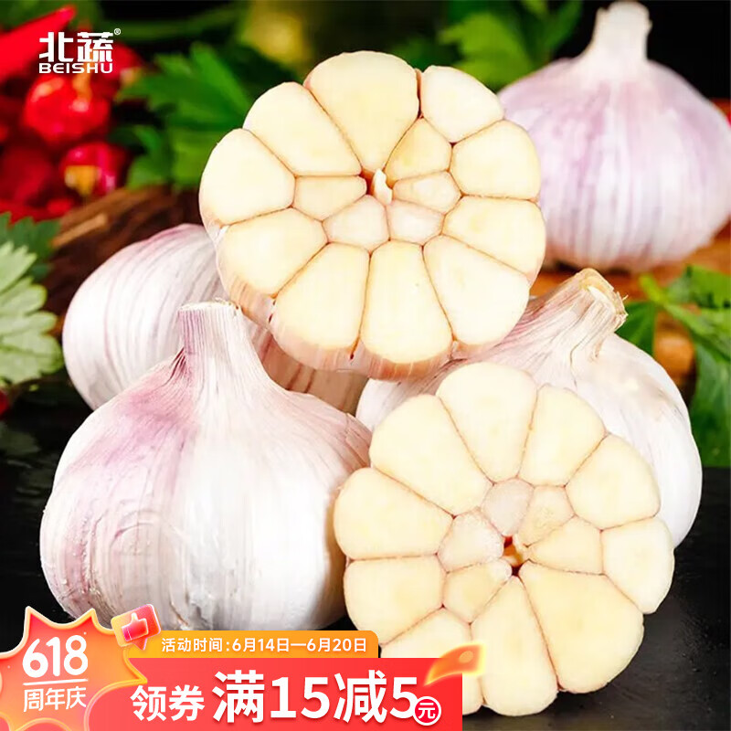 北蔬宽叶蒜苗种子籽四季大蒜 【可出蒜薹】山东大蒜种子1斤