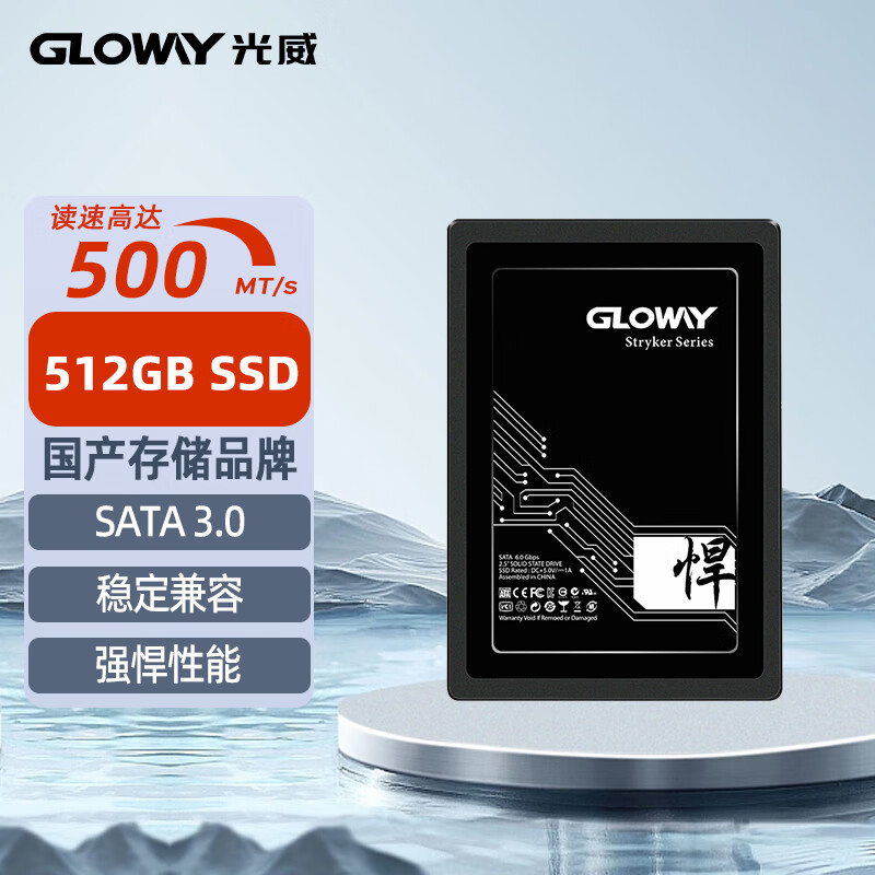 光威悍将 512GB固态硬盘ssd笔记本台式机电脑硬盘sata接口2.5英寸 悍将丨512GB丨SATA3.0 512GB