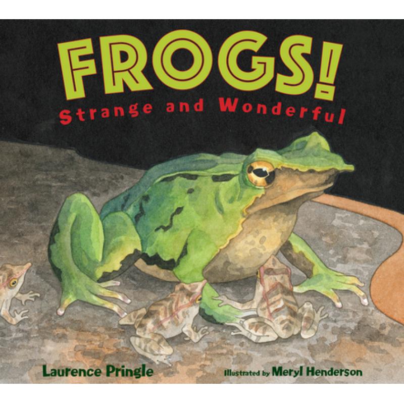 预订 frogs!: strange and wonderful