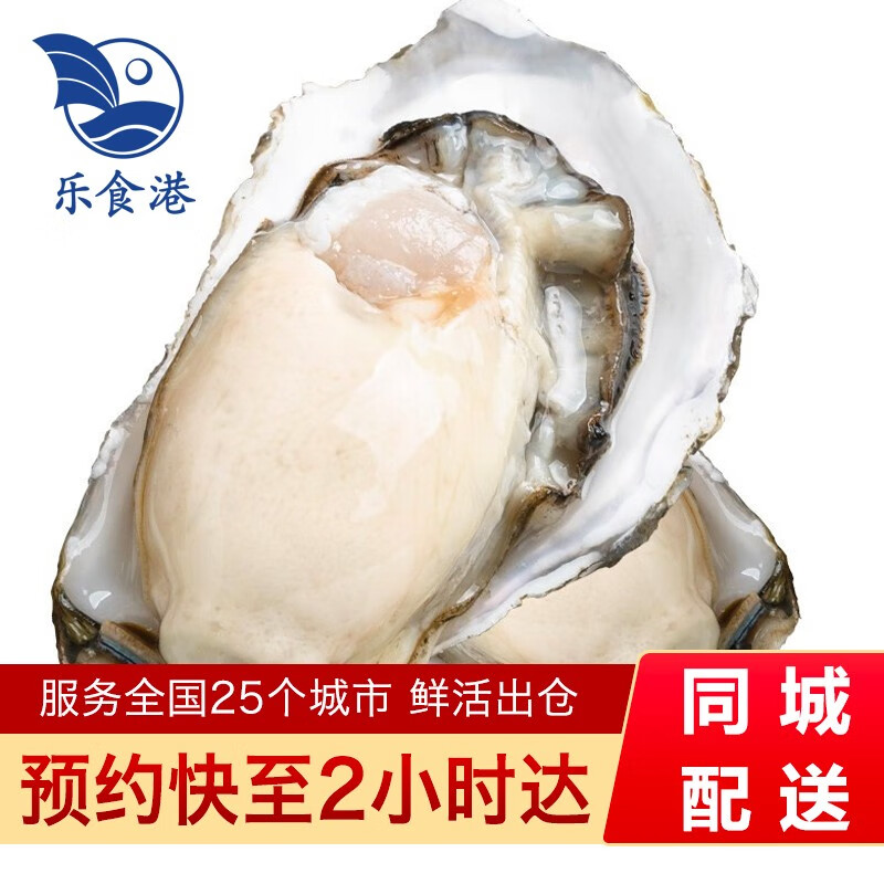 【活鲜】乐食港 鲜活生蚝5斤装牡蛎 新鲜 生蚝 海蛎子海鲜水产 5斤装（14-18个）大号