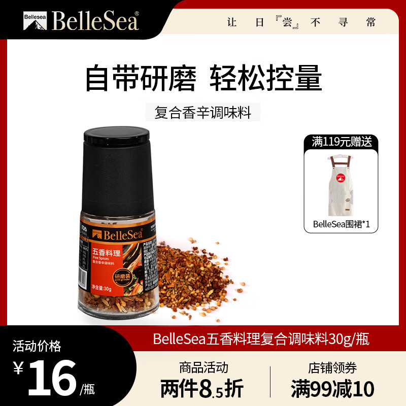 BELLESEA【五香粉研磨 30g】调料调味品香辛料炖肉腌肉复合调味料