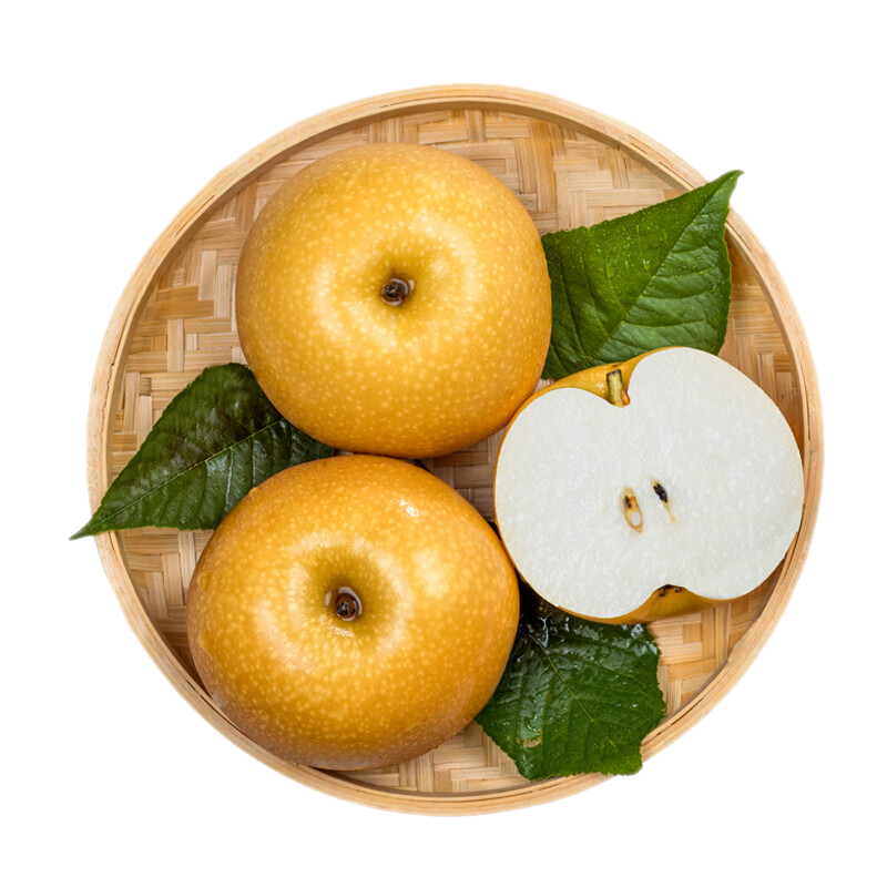 三萌果蔬正宗秋月梨【現(xiàn)貨速發(fā)】新鮮山東秋月冰糖梨子水果禮盒中秋送人 5斤禮盒甄選裝【禮盒丨約5-6個(gè)】凈4.5斤 新鮮采摘