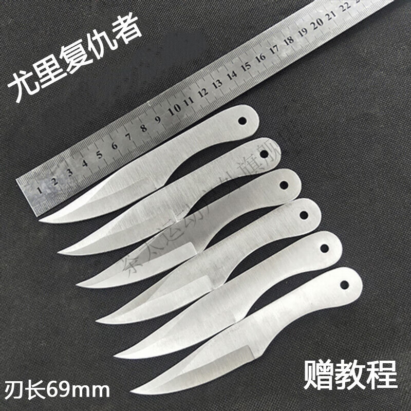 雷莲欣复仇者户外小子武术直飞暗器投射镖刀成人练习防身靶子 白色六只装一套(6只)