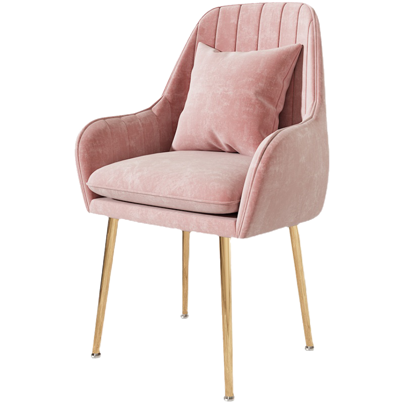 化妆椅北欧ins梳妆椅网红靠背椅子简易梳妆椅家用仙女椅卧室椅子餐厅餐椅轻奢直播椅美甲椅 粉色(黑腿无抱枕)