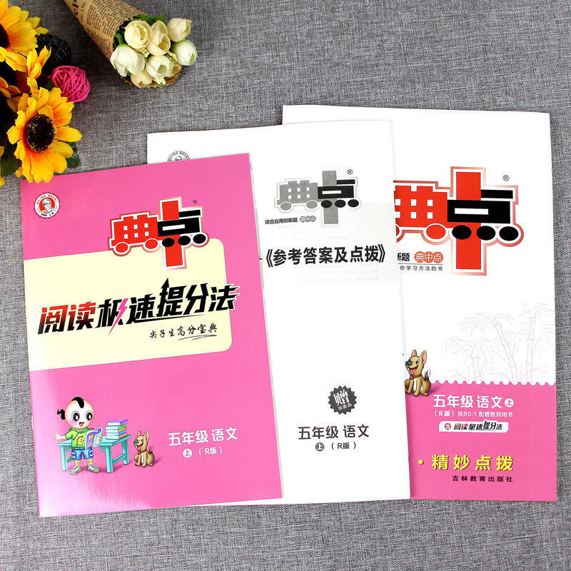 典中点一二三四五六年级上册人教版语文数学英语同步练习册 五年级上册 语文 人教版+数学 北师大