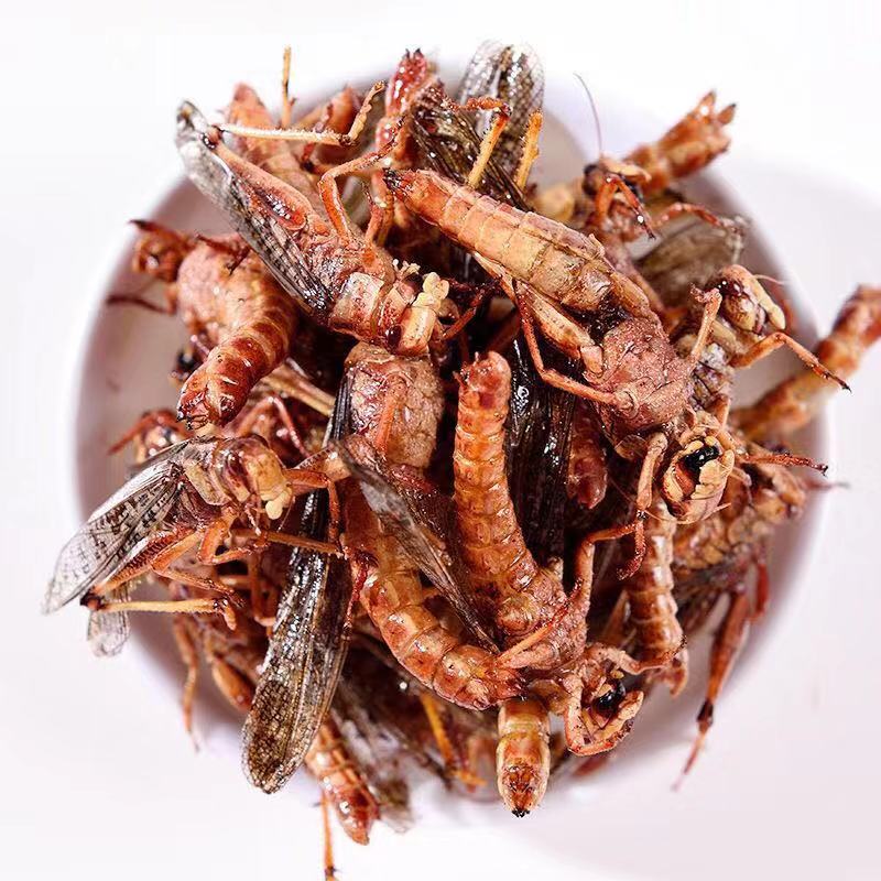 宜享健康新鲜油炸蚂蚱即食烧烤椒盐香辣昆虫蚱蜢虫子美食下酒零食