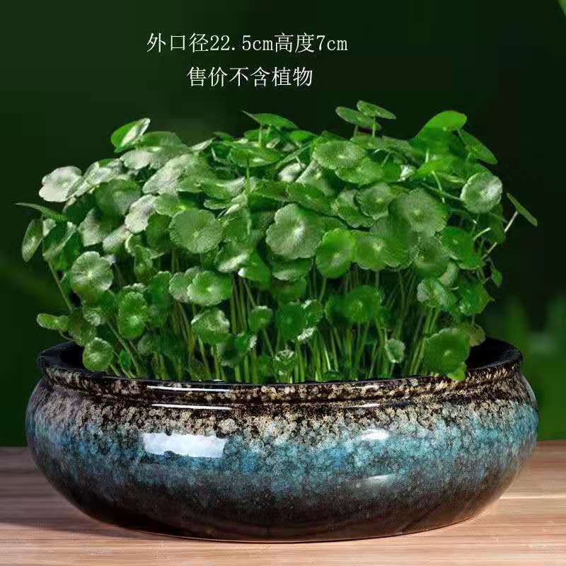 順富美（SHUNFUMEI）銅錢草花盆水養(yǎng)大號陶瓷盆碗蓮睡蓮無孔水培容器水仙花盆 鴻雁之春平口