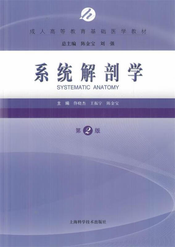 系统解剖学