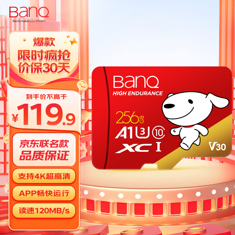 banq&JOY联名款 256GB TF（MicroSD）存储卡U3 C10 A1 V30 4K 高速款行车记录仪&监控摄像头手机内存卡