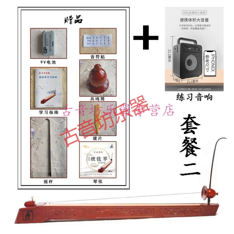 杰登（Jayden）绮音独弦琴拾音专业用高档民族乐器音乐爱好者通用型舞台 套餐二 标配+音箱