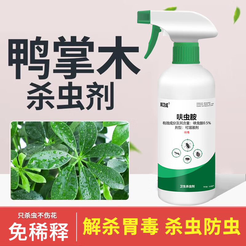 拜卫成鸭掌木专用杀虫剂鸭脚木介壳虫药除蚧壳虫驱虫鹅掌木虫害打治