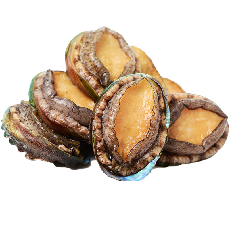 춳ȥش 10ͷ  ʱ   ʻ10ͷž500g*2