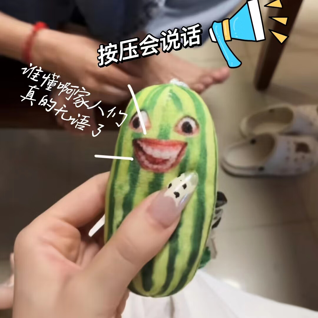 一朝春雪西瓜条挂件按压会说话家人们谁懂啊表情包搞笑魔性创意语音小