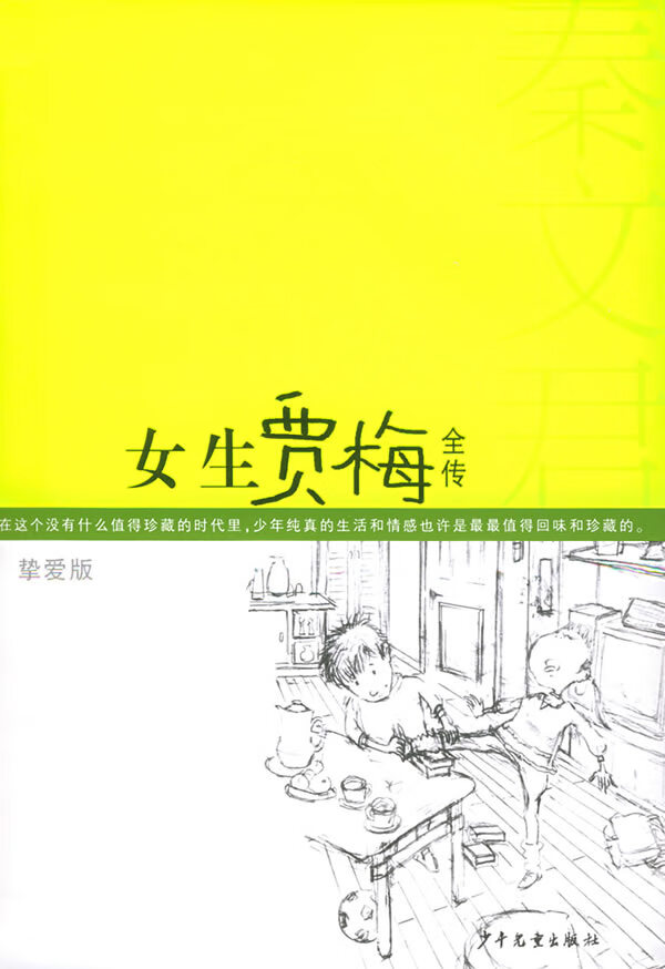 女生贾梅全传:挚爱版