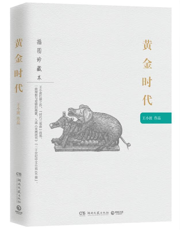 黄金时代王小波作品(插图珍藏本)